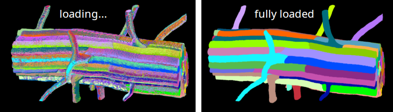 BVV segmentation view, left=still loading, right=loaded